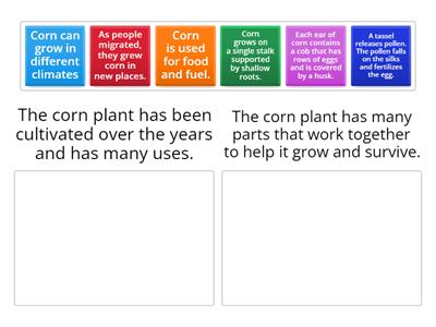 Main Idea and Details - Corn