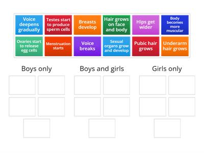 Changes during puberty