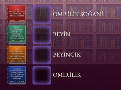 FEN SİNİR SİSTEMİ 6. SINIF