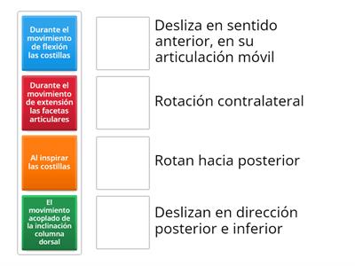 Recordando la biomecánica