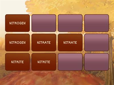 Nitrogen Cycle (Memory game)