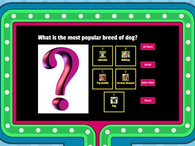 how well do you know dogs?