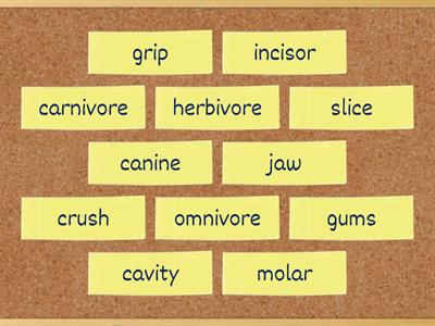 OD5 Unit 3. Teeth