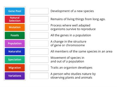 Evolution Matching