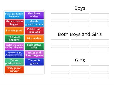 Changes during puberty