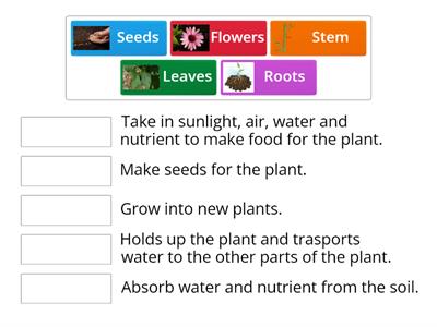  Parts of plants1