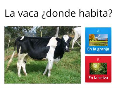 Descubramos el hábitat de los animales