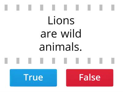 True or false - flyers animals