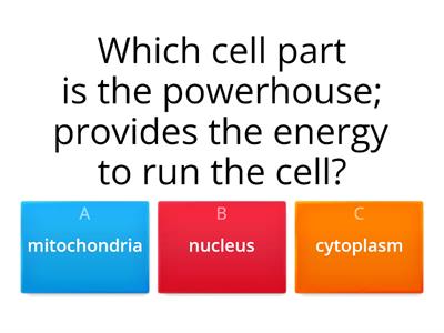5th Grade Cells Review 