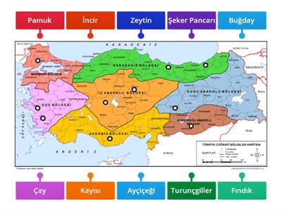 türkiye de tarım