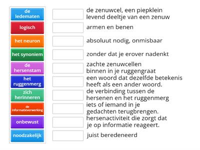 STAAL groep 7 Hersenen 1b