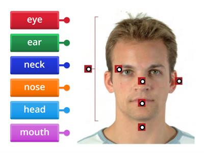 BODY PARTS. Elementary SpeakOut