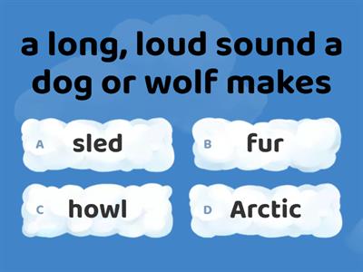 The dog race: match the words with their meanings