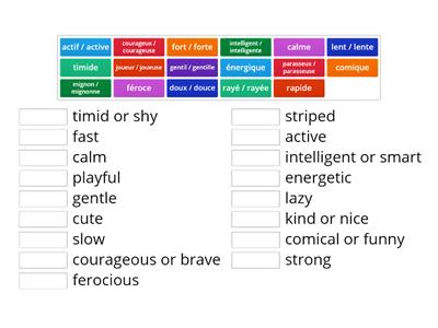 French Adjectives for Personality & Physical Traits
