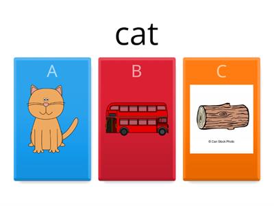 CVC word game - Can you read the words?