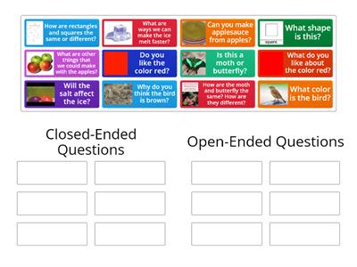 Open-Ended or Closed-Ended Questions? 