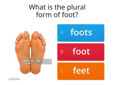 Irregular Plural Nouns - multiple choice