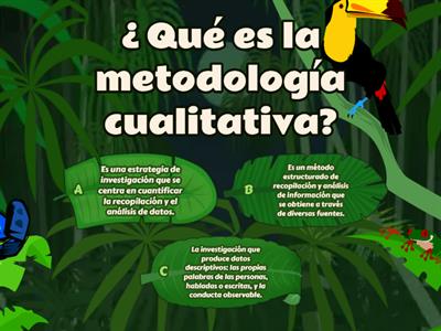 Metodología de la investigación cualitativa