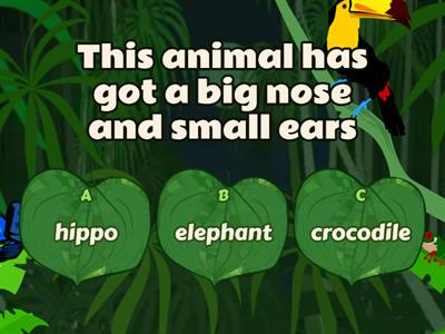 Animals Quiz game 