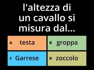 EQUITAZIONE TEST