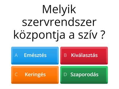 Projektnap- Szív és a keringési rendszer