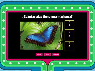 Mariposas 🦋 