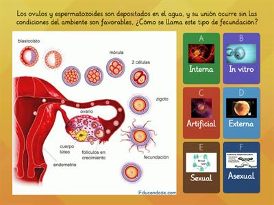 Reproducción sexual y asexual