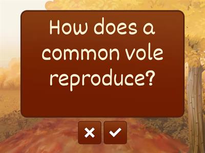 Nature and science for children 4/The common vole/Questions