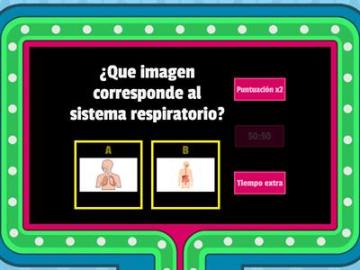 El sistema respiratorio 