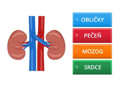 ľudské telo - čo som?