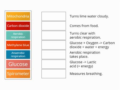 respiration match up