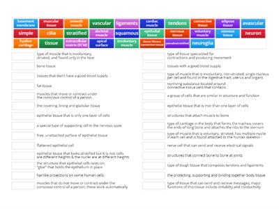 Histology Vocabulary Review