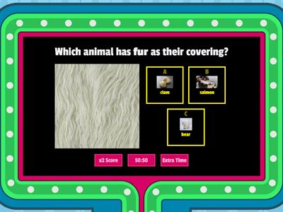 Animals Body Coverings