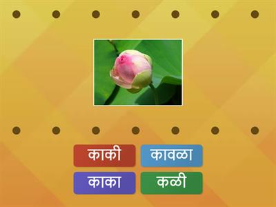 7) Find Match क words Marathi मराठी 