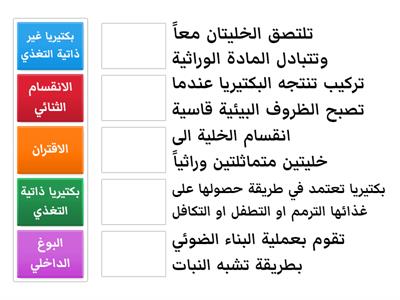 تضاعف المادة الوراثية