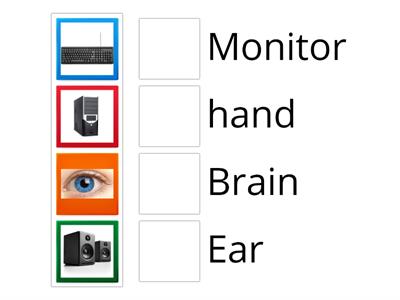 match the body parts with computer parts