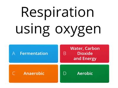 Aerobic Respiration