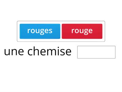 L'accord des adjectifs : choisir la bonne forme