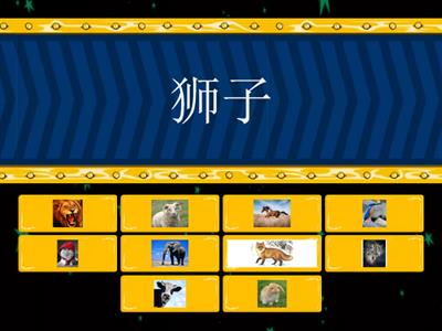  quiz 动物