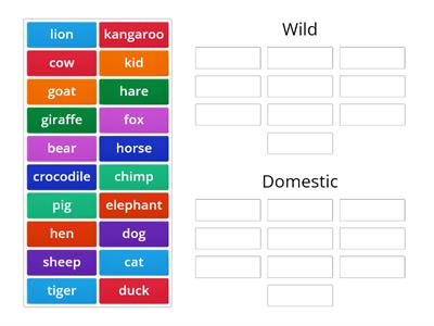 Wild and Domestic Animals