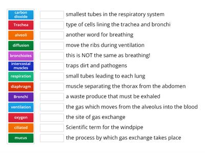 Gas exchange