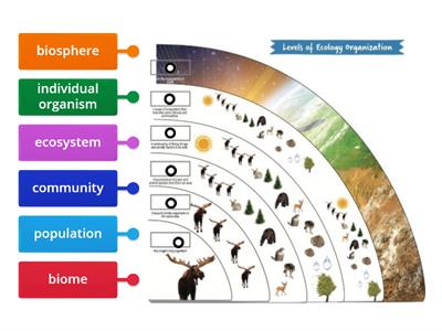 Levels of Ecology Organization