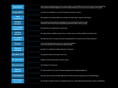 DFHS Biology Evolution Vocabulary