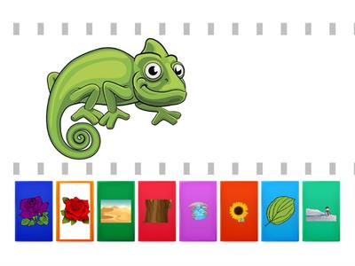 Mix-up Chameleon