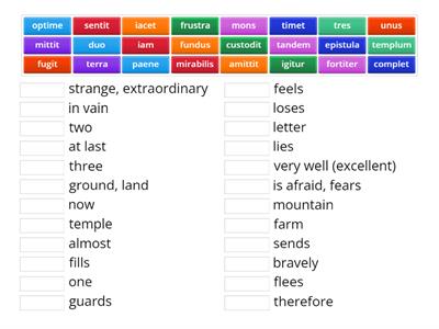 CLC Stage 12 Vocab