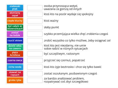 Co to znaczy? Rozumienie znaczenia powiedzeń.