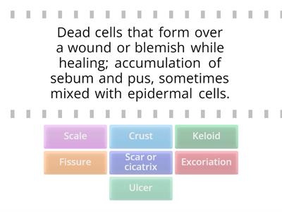 Secondary Lesions