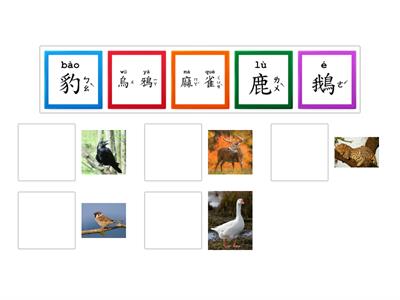 學華語向前走 B1 第六課 動物