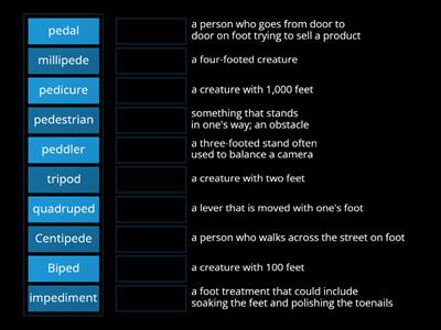 Bk Root Word 'PED'