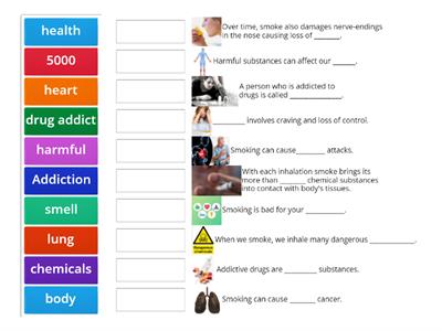 Health Grade 5 P.A. Test 3